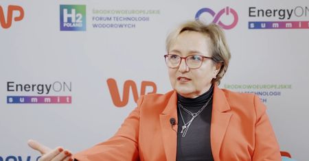 Dekarbonizacja przemysłu to nie sprint. Nie ma jednej recepty