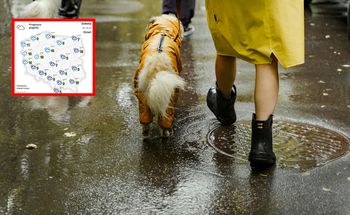 Nadchodzi gwałtowne ochłodzenie: ulewy, burze i przymrozki