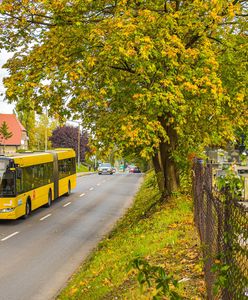 Śląskie. Nowe zasady komunikacji we Wszystkich Świętych