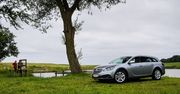 Opel Insignia Country Tourer 4x4 2,0 CDTI Ecotec - test