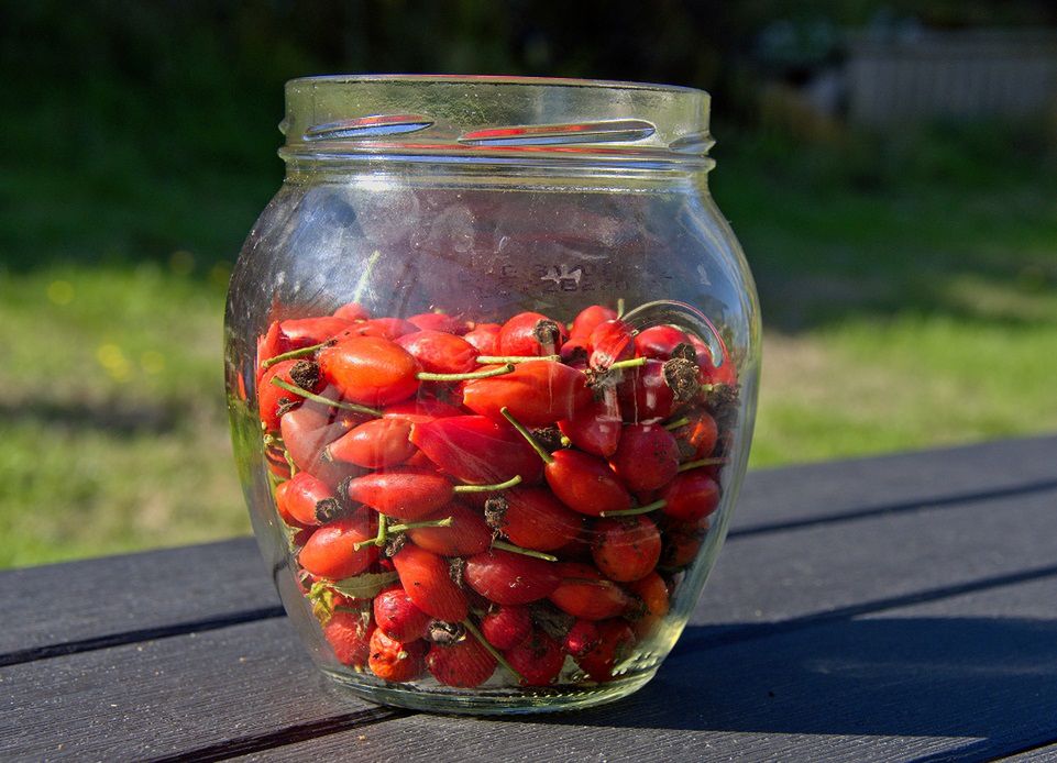 Zawiera najwięcej witaminy C, redukuje ból stawów. Niestety Polacy przechodzą obok niej obojętnie