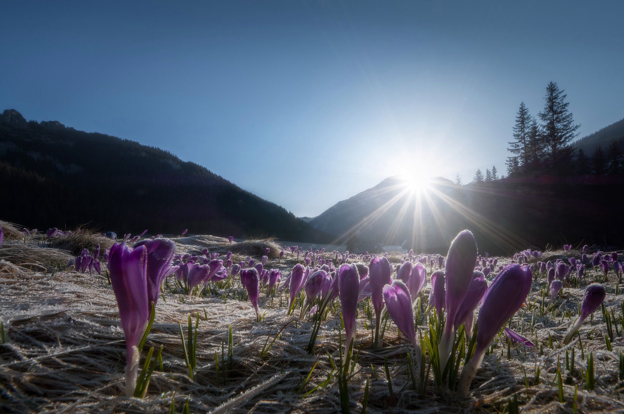 Jak fotografować słońce na zdjęciach krajobrazu? 7