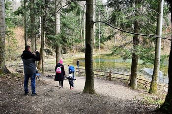 Odkryj Beskidzkie Morskie Oko. Idealne jezioro na rodzinny wypad