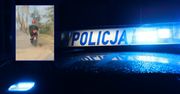 Mrągowo: Ciągnął psa za skuterem. Zwierzę nie przeżyło