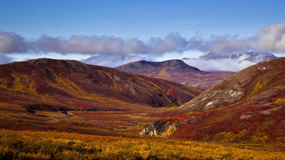 Jak naładować baterie aparatu dzięki energii słonecznej? [wideo] 1