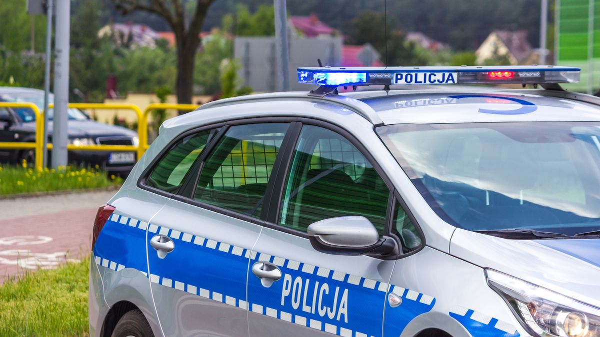 car, police, blue, vehicle, emergency, poland, sign, white, policja, transport, protection, safety, security, protect, law, policeman, siren, patrol, close, light, water, transportation, service, bar, chrome, uniform, traffic, auto, special, union, guard, polish, politics, prevention, political, protest, picket, raid, protester, riot, uprising, roadblock, reconnaissance, revolt, up, close-up, view, park, city, europe