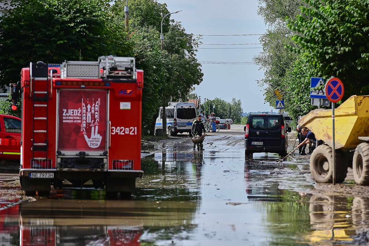 "Mokre żniwa": rolnicy walczą z pogodą o jakość plonów