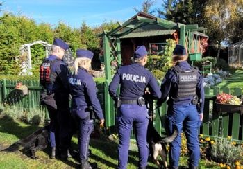 Była 4:20 nad ranem. 83-latka leżała na ogródkach działkowych