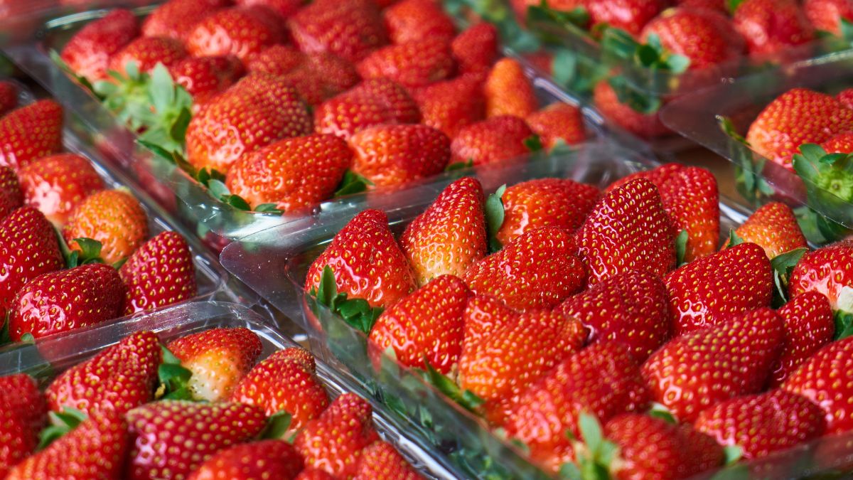 Truskawki są dobre, ale nie można ich spożywać podczas przyjmowania niektórych leków