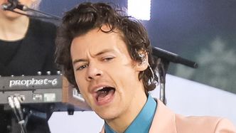 Harry Styles już tak nie wygląda. Muzyk zapuścił BUJNEGO WĄSA. Zmiana na plus?