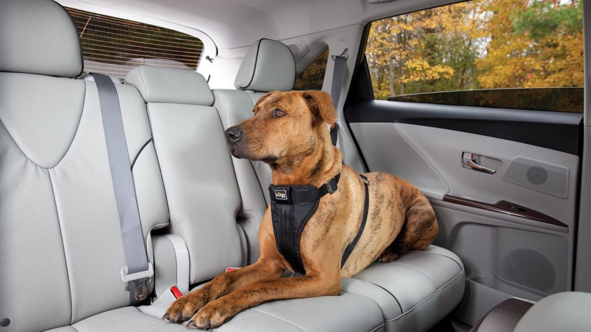 Zdjęcie ilustracyjne do artykułu