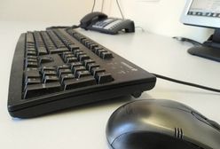 Dostęp do internetu w Polsce ma 76 proc. gospodarstw