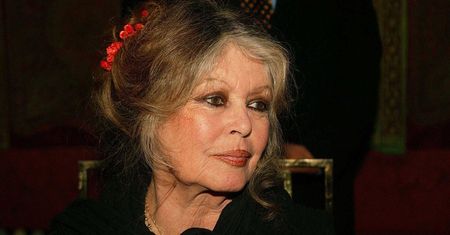 Prawa zwierząt. Brigitte Bardot protestuje przeciw skubaniu żywych gęsi w Polsce