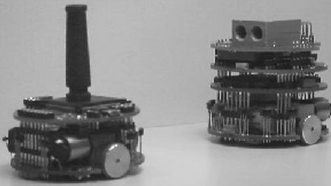 Roboty nauczyły się polowania i współpracowania 1