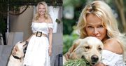 Romantyczna Pamela Anderson przytula psa