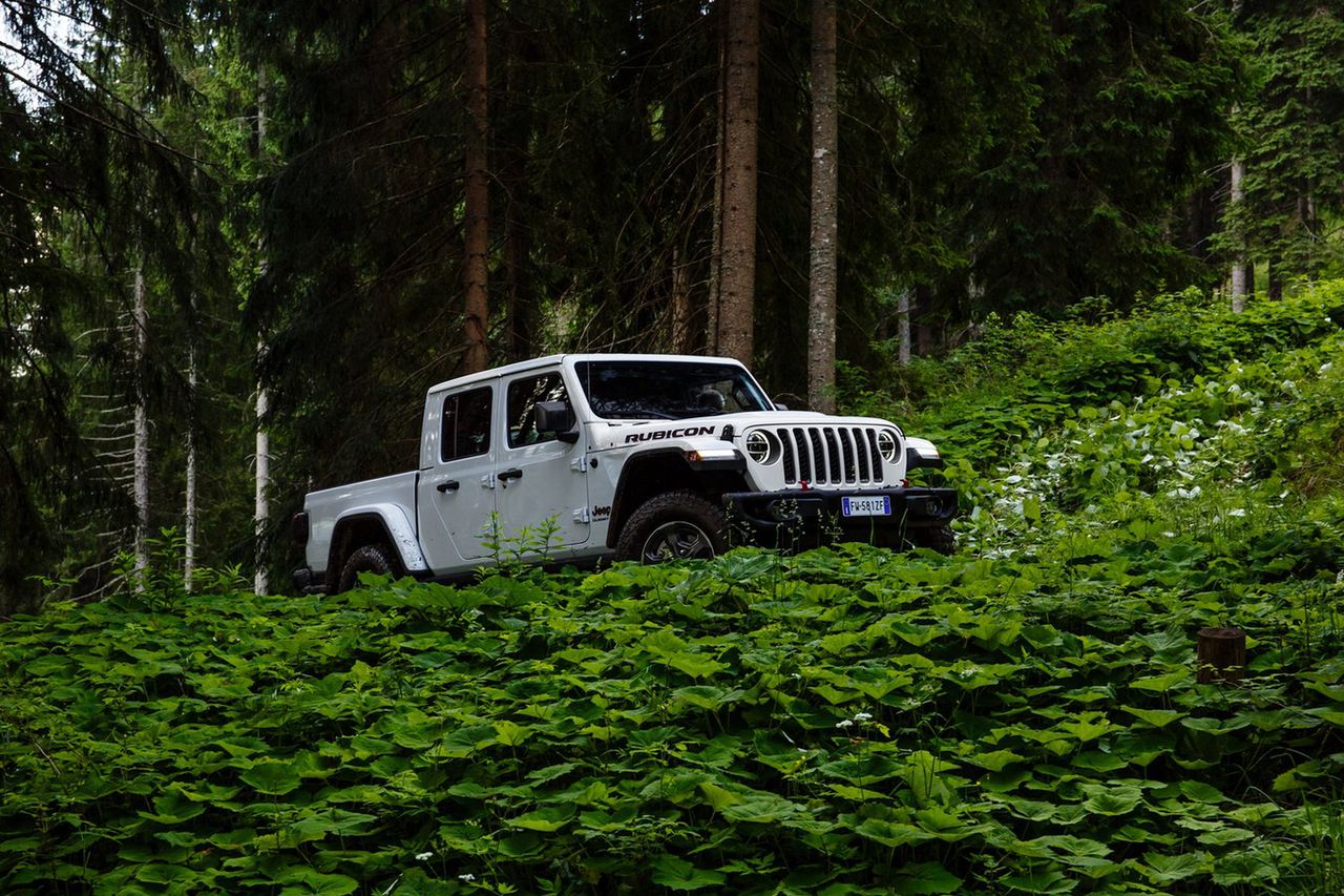 Jeep Gladiator wjeżdża do polskich salonów. Znamy cenę i specyfikację