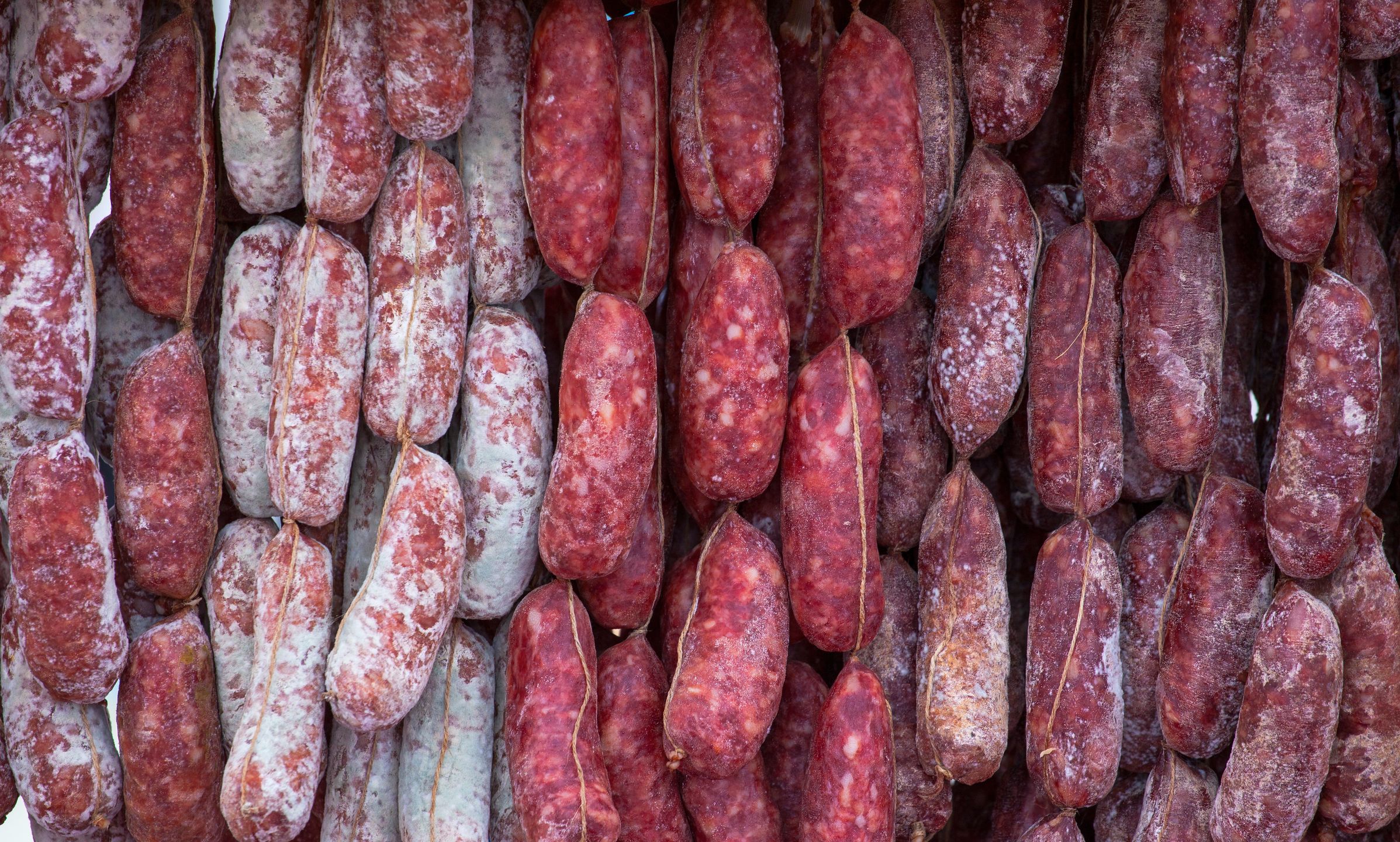 Salami