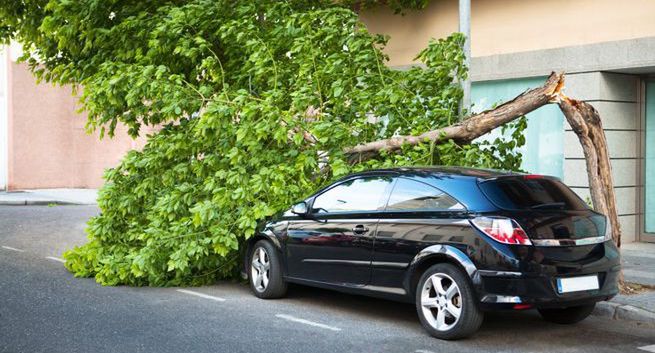 Smart Casco - dopasowana ochrona na miarę potrzeb