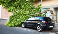 Smart Casco - dopasowana ochrona na miarę potrzeb