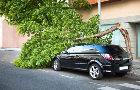 Smart Casco - dopasowana ochrona na miarę potrzeb