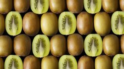 Zbadali ich krew przed i po zjedzeniu kiwi. Jednoznaczne wyniki