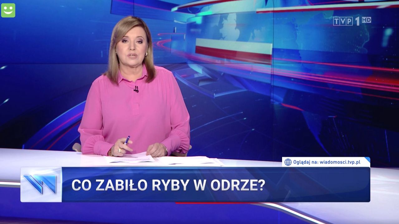 "Co zabiło ryby w Odrze"? Według "Wiadomości" być może ścieki albo sama natura