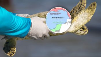 Wyciek ropy w Zatoce Meksykańskiej. Skażone setki kilometrów wybrzeża