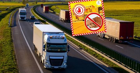 Zatrzymali 22 tys. kg cynamonu z Wietnamu. "Zatęchłe" znalezisko