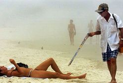 Chodzę po plaży, sprzedaję co się ludziom marzy