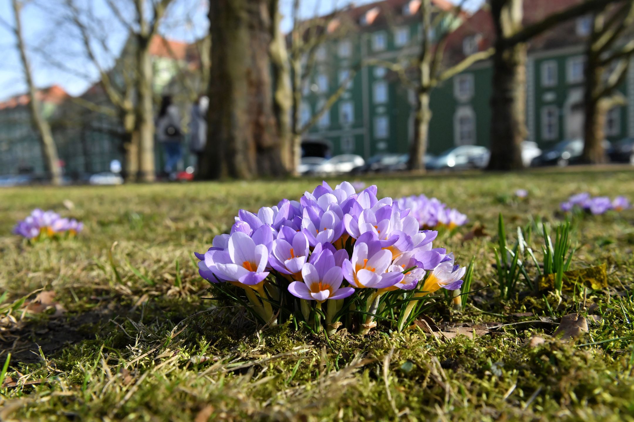 Szczecin