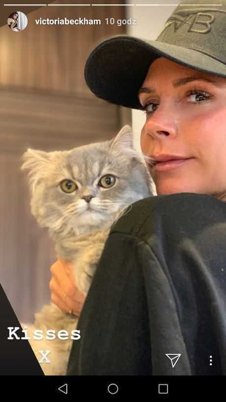 Victoria Beckham ma nowe zwierzątko