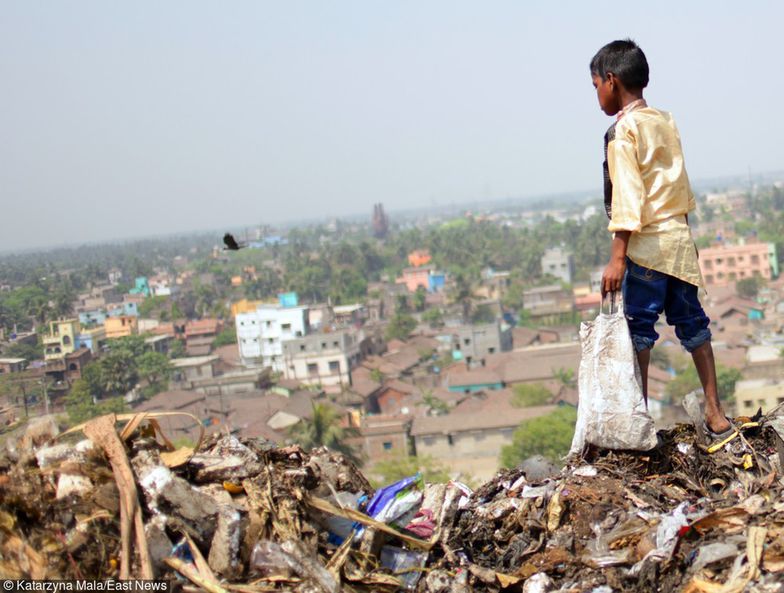 Koncerny spożywcze ujawnią dane o marnowaniu żywności. To nawet 940 mld dol. strat rocznie