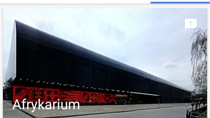 Google Trips 5