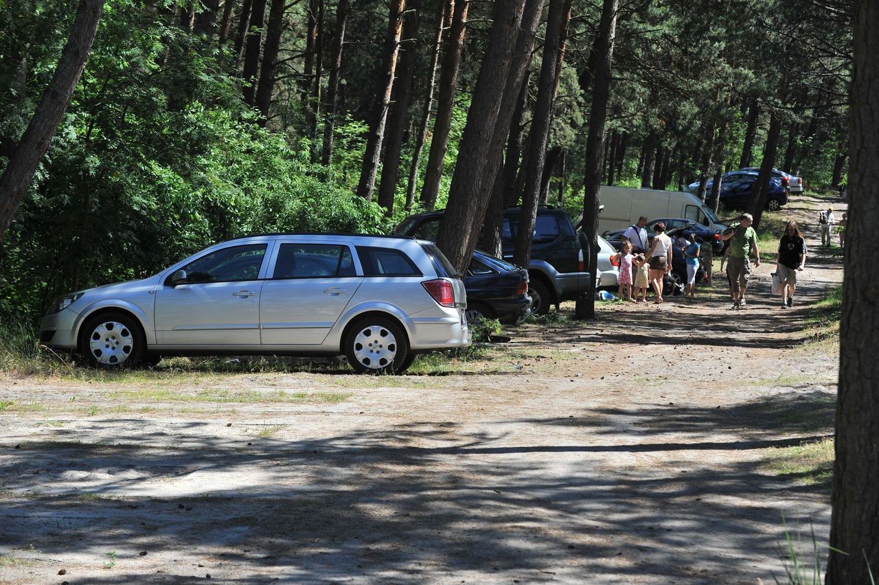 Za to Straż Leśna ma prawo zatrzymać i nałożyć mandat