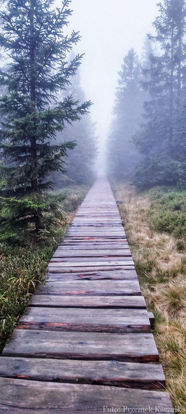 Śnieżne Stawki to oaza spokoju w Karkonoszach