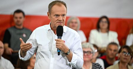 Tajemnica polskiego drewna. Donald Tusk pyta o kuriozalną sytuację na rynku