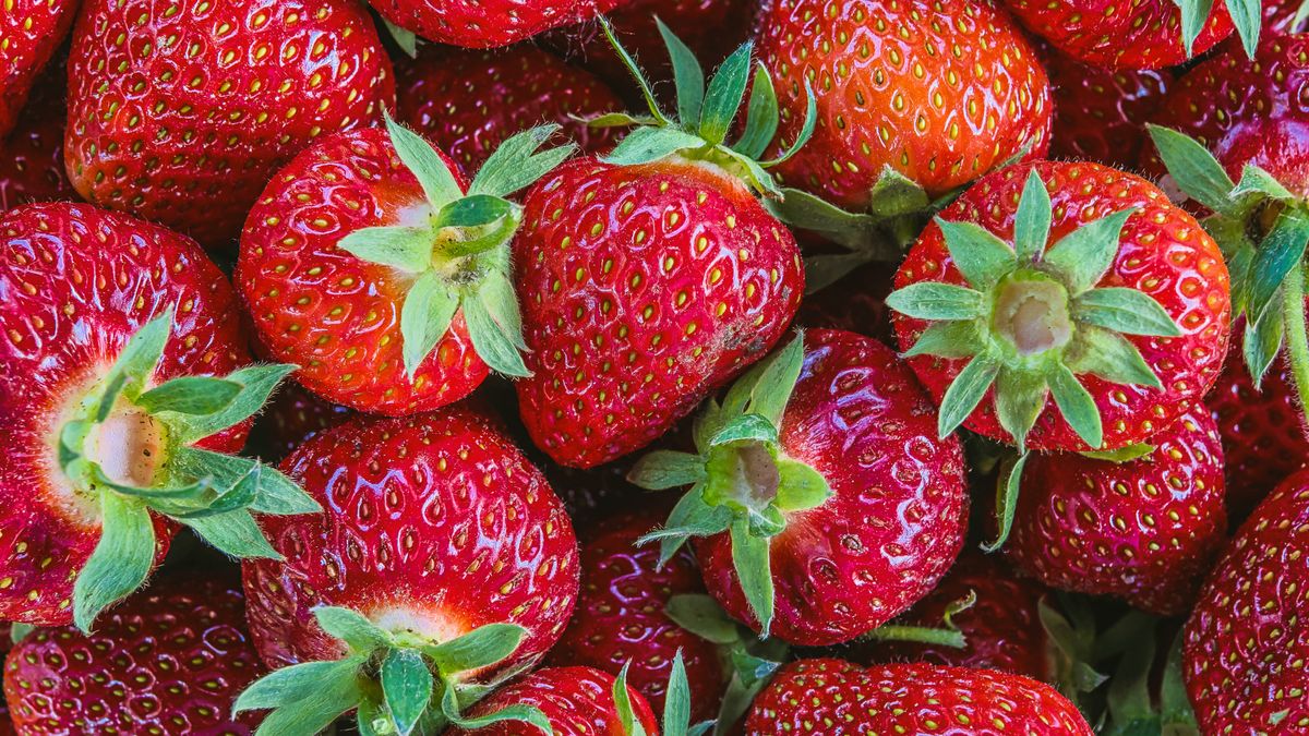 Sprawdzili truskawki w Broniszach (zdj. ilustracyjne)