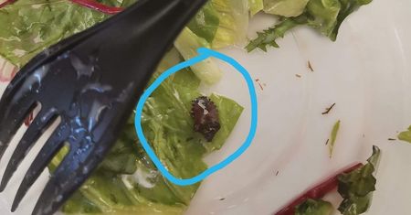 Robak w sałatce z McDonald’s w Lublinie. Obrzydliwe znalezisko!