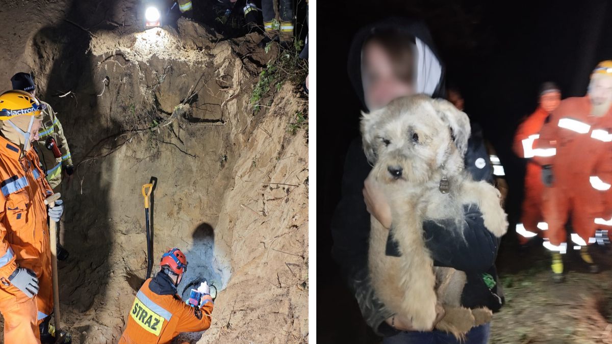 Akcja zakończyła się happy endem