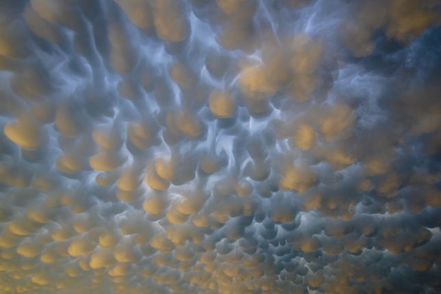 Chmury Mammatus