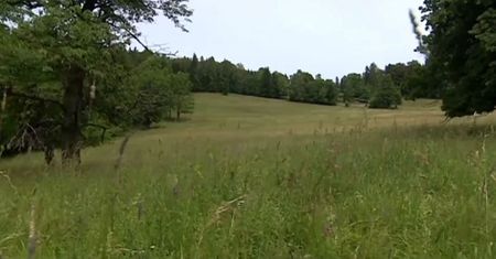 Wyludniona wieś w Kotlinie Kłodzkiej sprzedana za 12 mln złotych