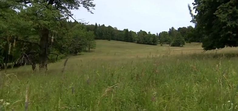 Wyludniona wieś w Kotlinie Kłodzkiej sprzedana za 12 mln złotych