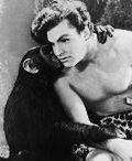 Ukochana małpa Tarzana opublikuje swoje wspomnienia