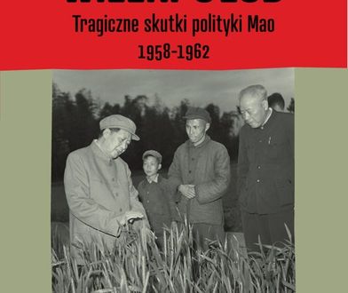 Miski pełne i miski puste