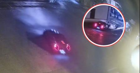 19-latka w BMW "chciała ominąć kota". Monitoring ujawnił prawdę