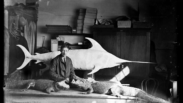 Wiesław Rakowski. Archiwum Zoologiczne. Wystawa, którą warto zobaczyć! 1