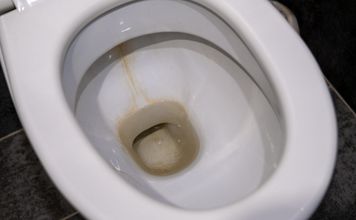 Wlej do muszli. Po 15 minutach będzie nie do poznania