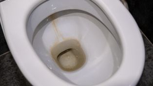 Wystarczy kwadrans. Muszla będzie nie do poznania