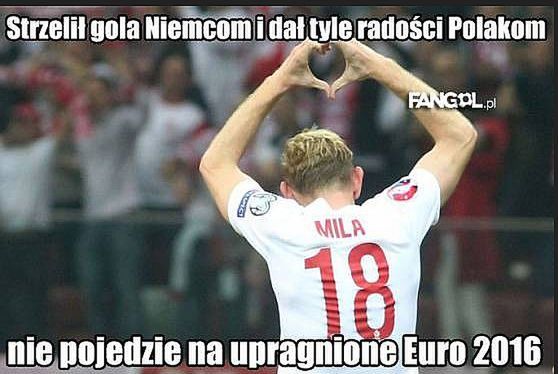 Fot. fangol.pl