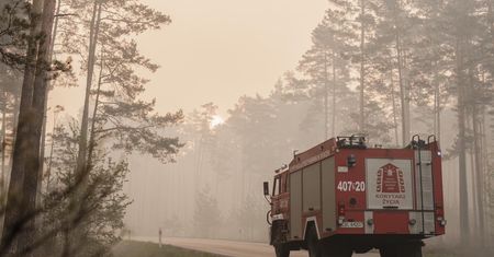 Przełom ws. pożaru w Puszczy Solskiej. Jasny komunikat straży